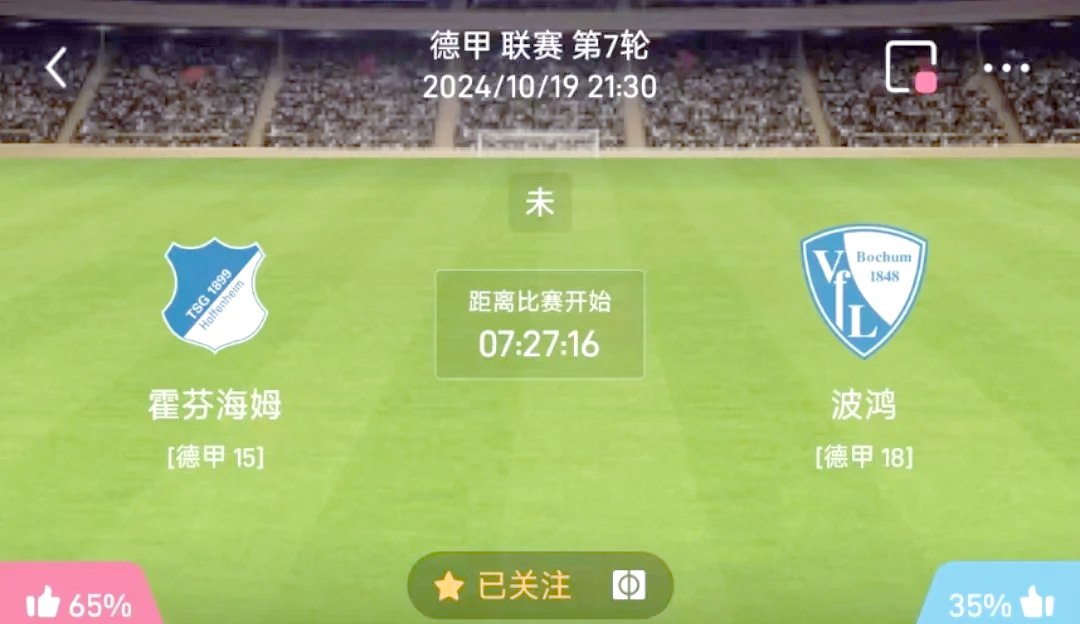 星空体育新闻-霍芬海姆在主场失利，寻找反击机会的简单介绍