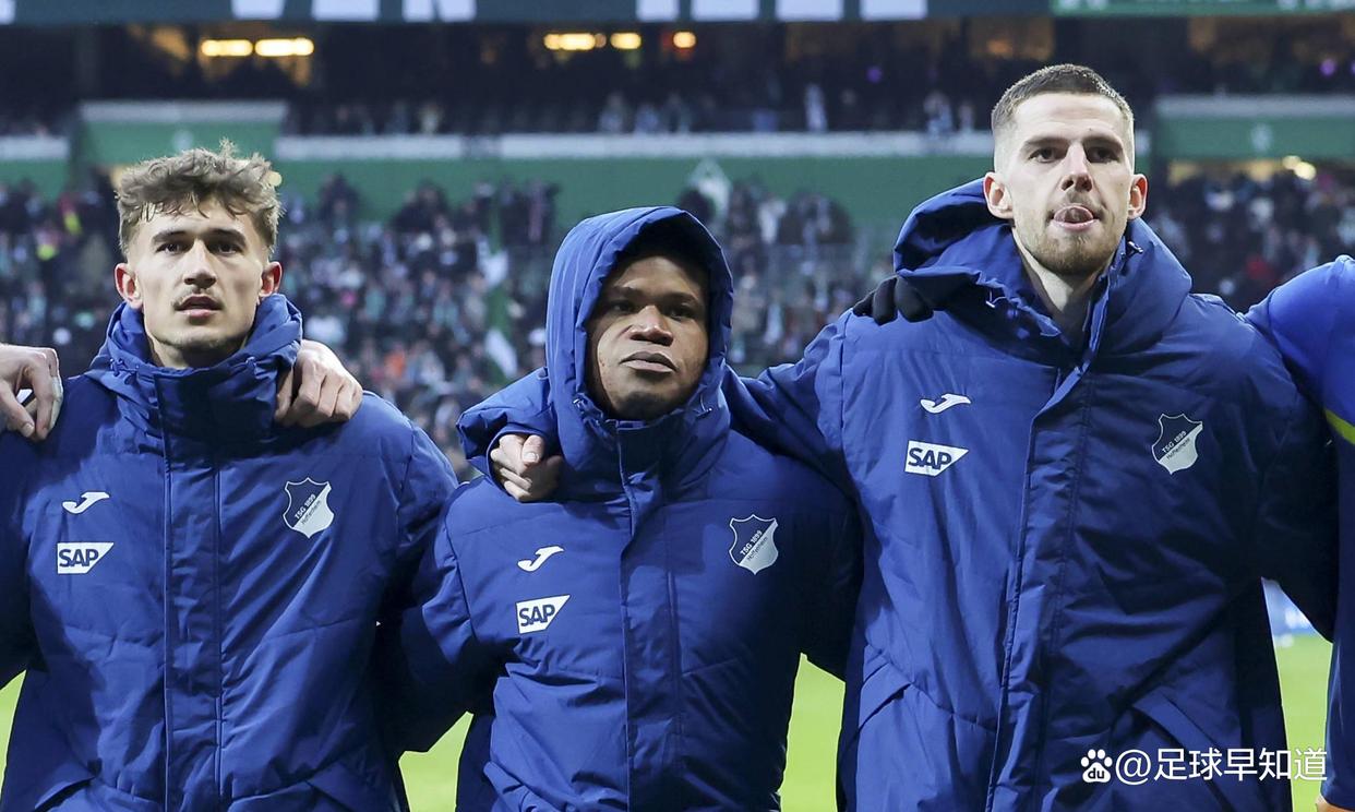 霍芬海姆在主场失利,寻找反击机会的简单介绍 霍芬海姆在主场失利,寻找反击机会的简单介绍