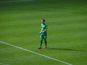 星空体育vip注册-葡萄牙队备战友谊赛，实力雄厚